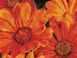 Diamond Dotz - Delosperma In Bloom