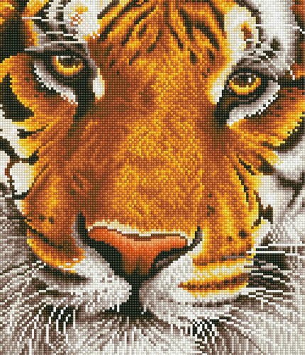 Diamond Dotz - Bengal Magic