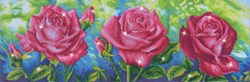 Diamond Dotz - Les Roses Du Jardin
