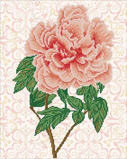 Diamond Dotz - Rose Blush