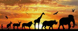 Diamond Dotz - African Sky