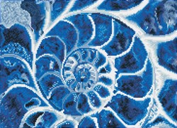 Diamond Dotz - Blue Nautilus