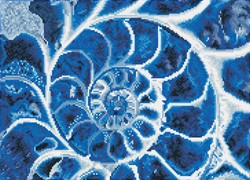 Diamond Dotz - Blue Nautilus