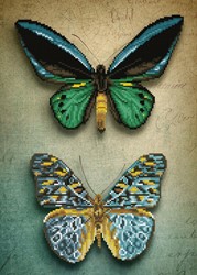 Diamond Dotz - Antique Butterflies