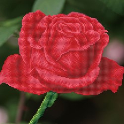 Diamond Dotz - Rose Bud With Frame