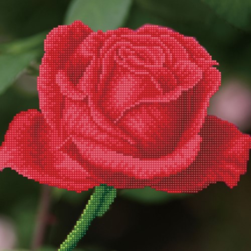 Diamond Dotz - Rose Bud With Frame