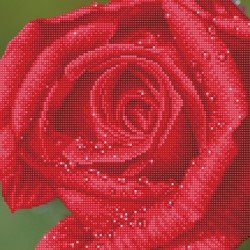Diamond Dotz - Rose Dew With Frame