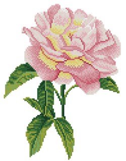 Diamond Dotz - Pink Rose With Frame