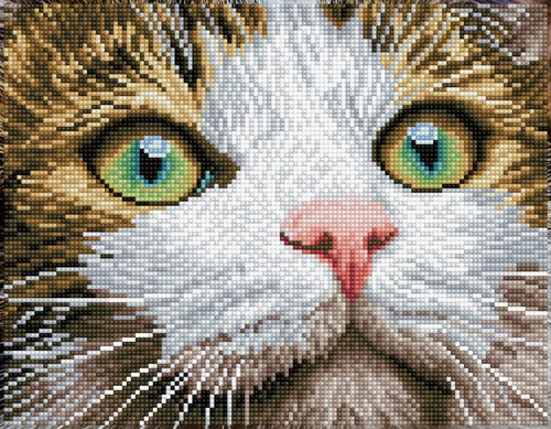 Diamond Dotz - Green Eyed Beauty With Frame
