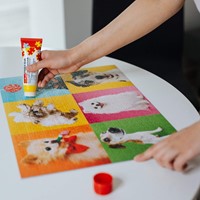 Trefl - CDU 9 pcs Puzzle Glue-3