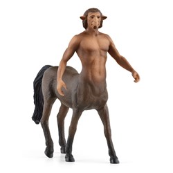 Schleich Wizarding World™  Firenze
