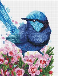 Diamond Dotz - Splendid Fairy Wren