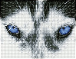 Diamond Dotz - Mystic Husky