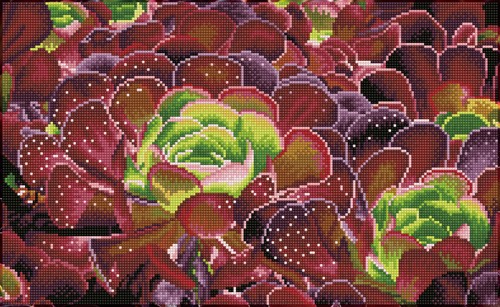 Diamond Dotz - Succulents
