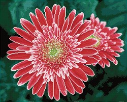 Diamond Dotz - Pink Gerberas  - Pre-Framed Kit