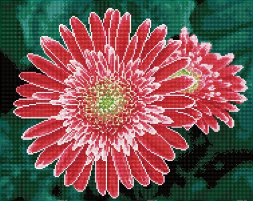 Diamond Dotz - Pink Gerberas  - Pre-Framed Kit