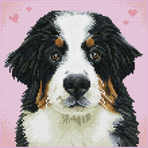 Diamond Dotz - Say Hello To Zuzu - Pre-Framed Kit