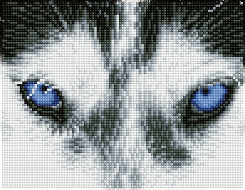 Diamond Dotz - Mystic Husky - Pre-Framed Kit