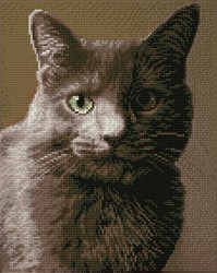 Diamond Dotz - Smokey - Pre-Framed Kit