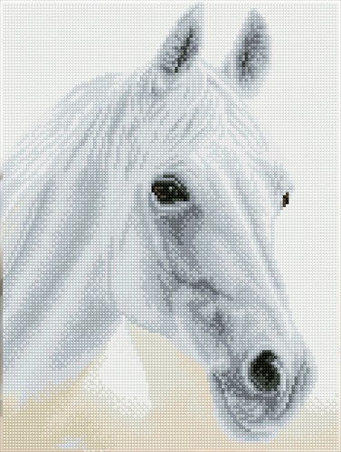 Diamond Dotz - Arabian Beauty - Pre-Framed Kit