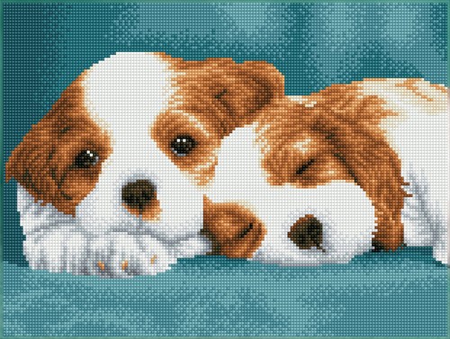 Diamond Dotz - Little Champs - Pre-Framed Kit