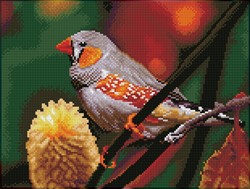 Diamond Dotz - Gouldian Finch - Pre-Framed Kit