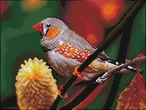 Diamond Dotz - Gouldian Finch - Pre-Framed Kit