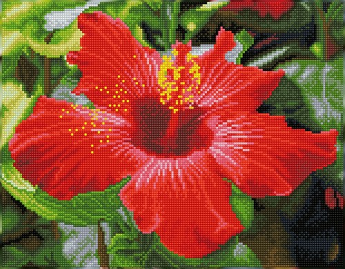 Diamond Dotz - Hibiscus In Bloom - Pre-Framed Kit