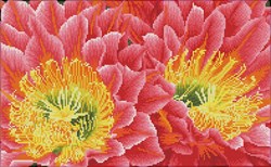 Diamond Dotz - Desert Blooms - Pre-Framed Kit