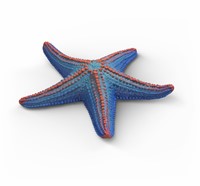 Extra afbeelding voor 39042742