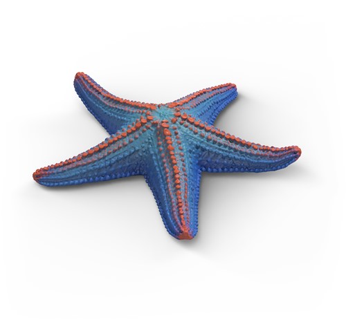 Extra afbeelding voor 39042742