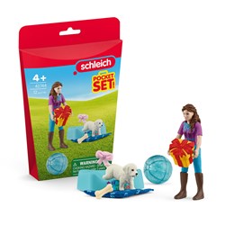 Schleich Horse Club Birthday Party With Lisa