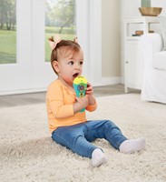Vtech - Dierenvriendjes Microfoon-3