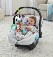 Vtech - Knuffel & Speel Zebra-2