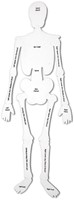 Learning Resources - Skeleton Foam Floor Puzzle-2