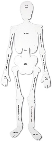 Learning Resources - Skeleton Foam Floor Puzzle-2