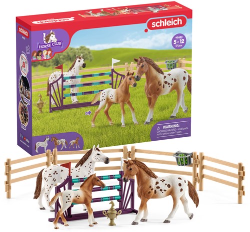 Schleich Horse Club Horse Club Lisa’s toernooitraining-2