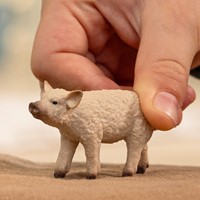 Schleich Farm World Mangalica Piglet-2