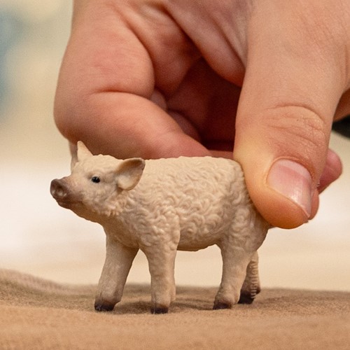 Schleich Farm World Mangalica Piglet-2