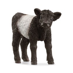 Schleich Farm World Galloway kalf