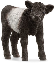Schleich Farm World Galloway kalf