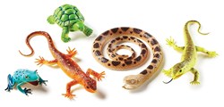 Learning Resources - Jumbo Reptiles & Amphibians