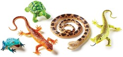 Learning Resources - Jumbo Reptiles & Amphibians