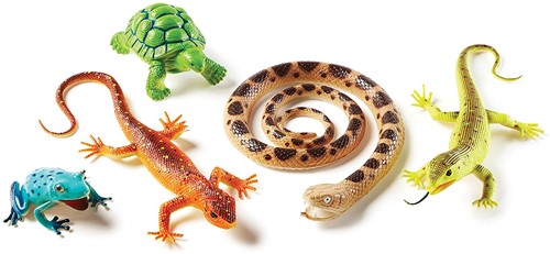 Learning Resources - Jumbo Reptiles & Amphibians