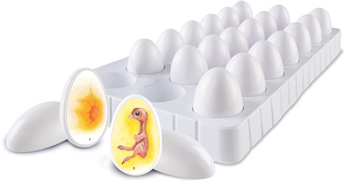 Learning Resources - Chick Life Cycle Exploration Set-3