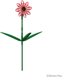 BRIXIES Plus Gerbera Zalm - 61 st