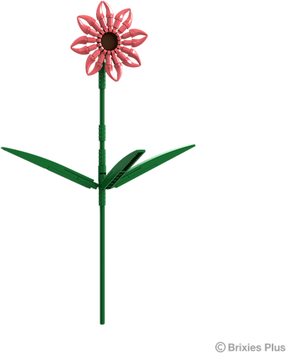 BRIXIES Plus Gerbera Zalm - 61 st