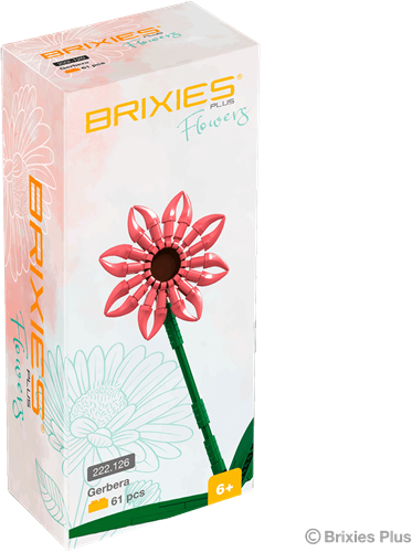 BRIXIES Plus Gerbera Zalm - 61 st-2