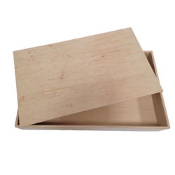 Houten speelbak met deksel (50x30x7 cm)