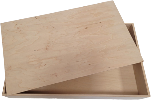 Houten speelbak met deksel (50x30x7 cm)